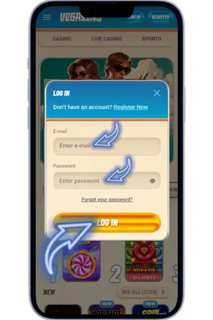 Login form with email and password fields